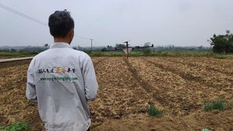 围观 湖北荆门首次试验农用无人机油菜精量播种